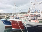 Boote in Howth